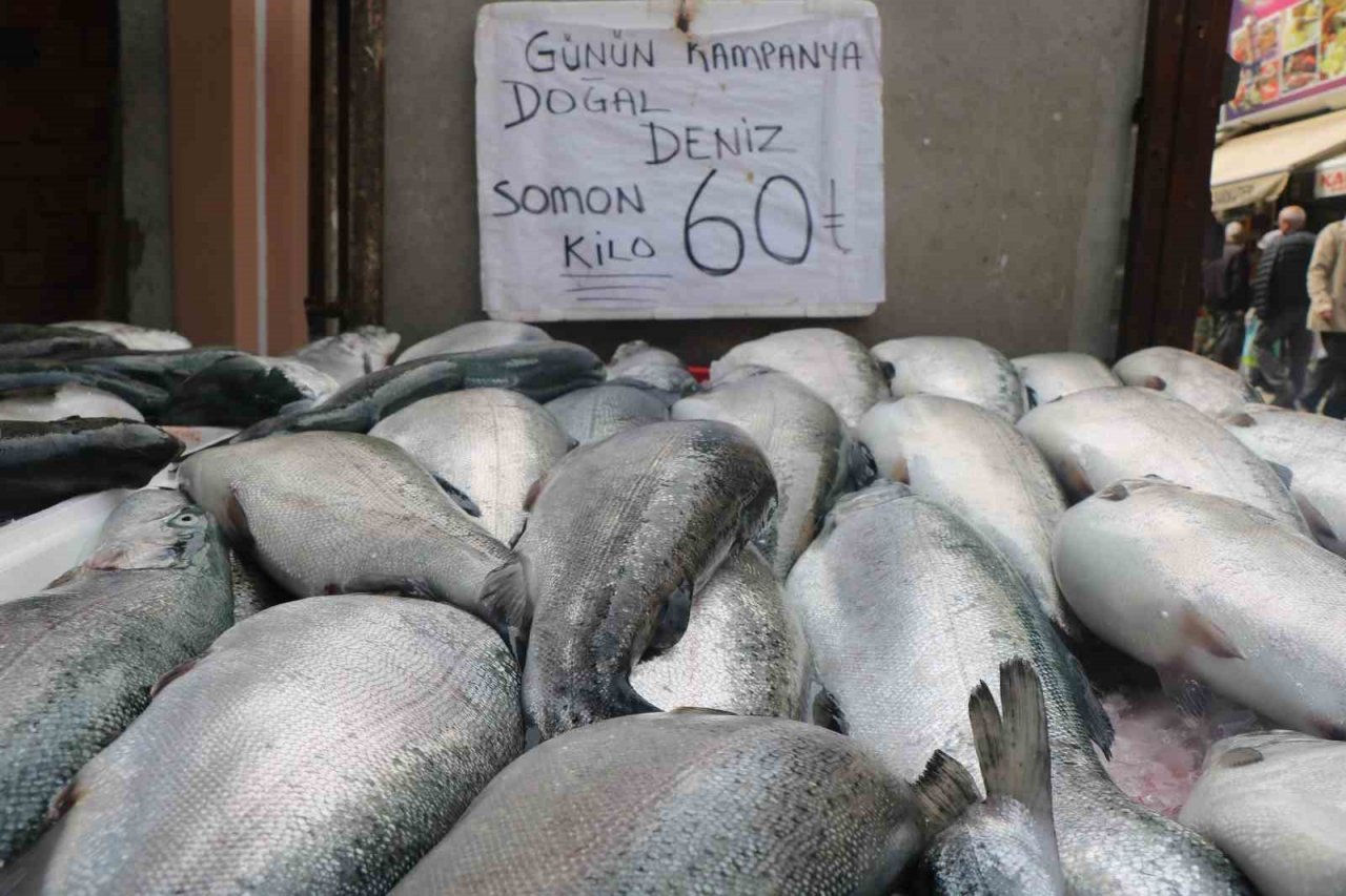 Mevsim balıklarının yerini kültür balıkları aldı