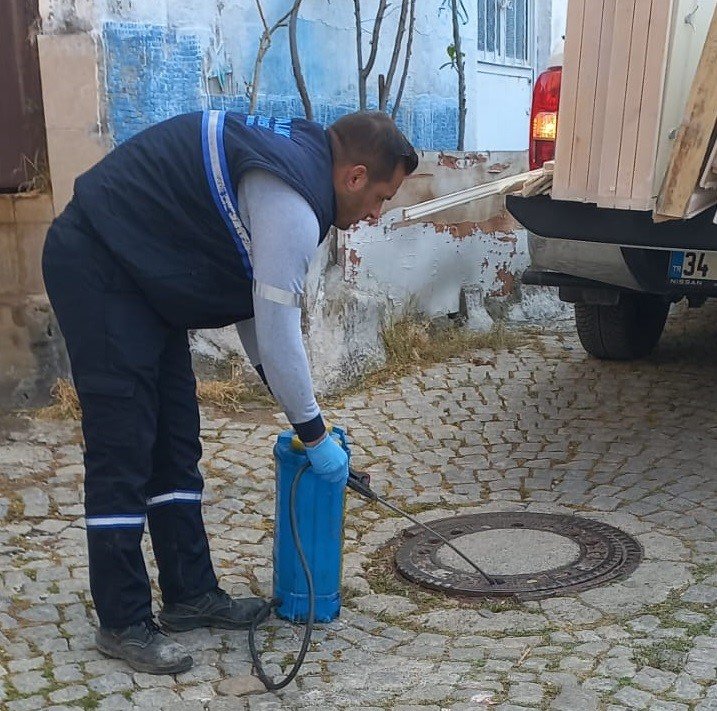 Ayvalık’ta sivrisinek larvalarıyla amansız mücadele sürüyor