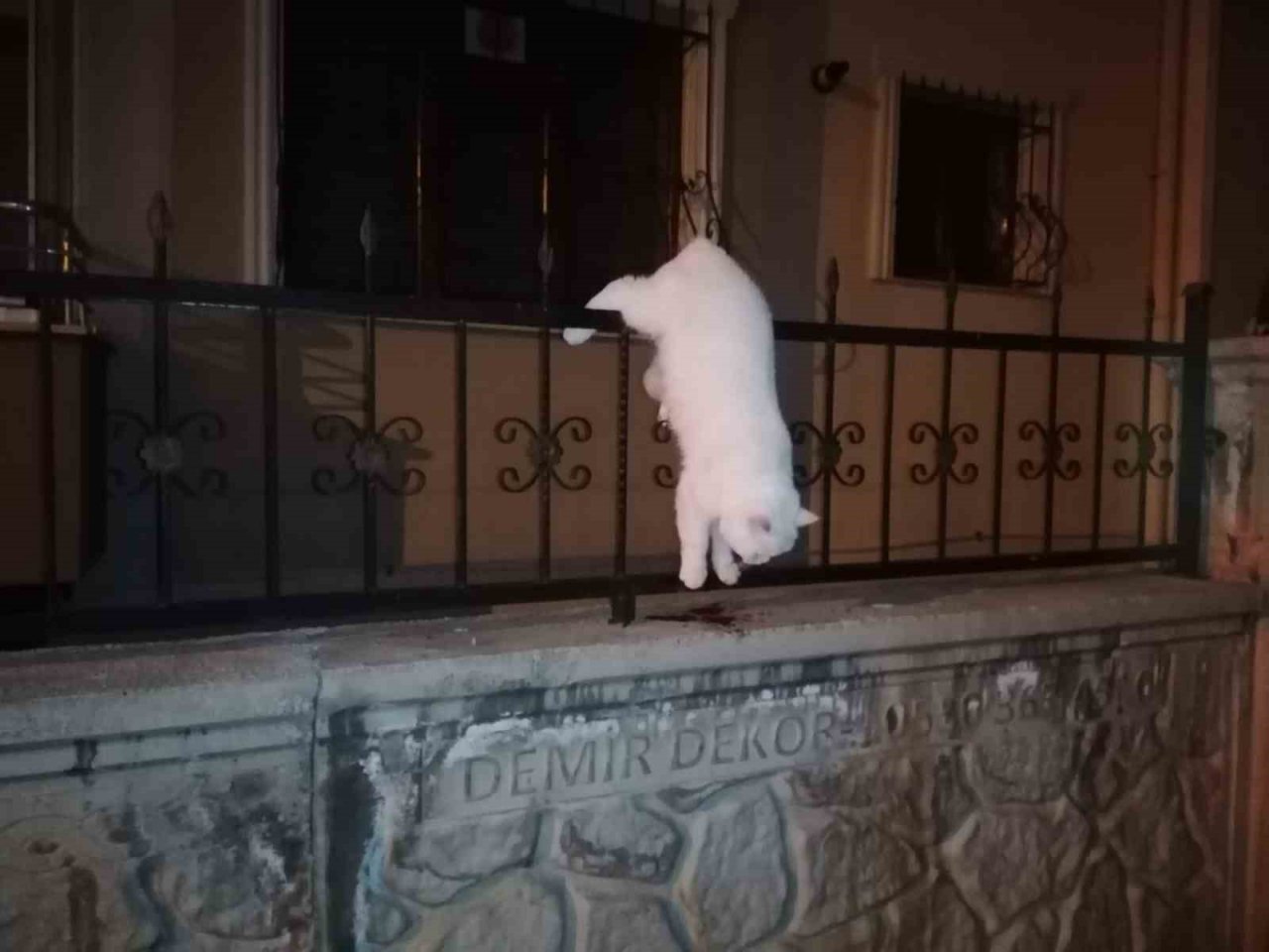 İtfaiye kurtardığı kediyi veteriner kliniğine götürdü