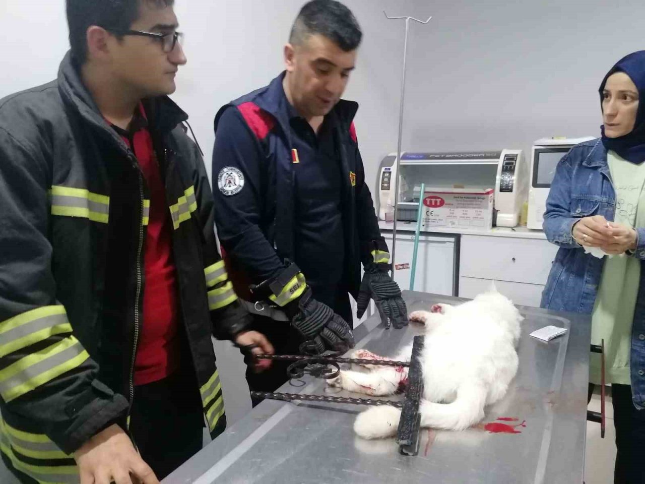 İtfaiye kurtardığı kediyi veteriner kliniğine götürdü