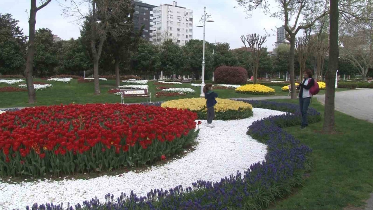 İstanbul’da lale şöleni: 70 çeşit lale, 2 milyon soğan dikildi