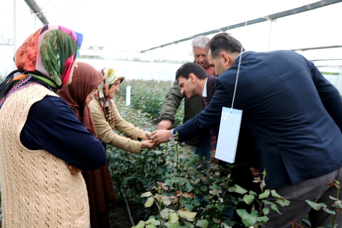 Yalova’da kesme gül zararlısına karşı mavi yapışkan tuzak dağıtıldı