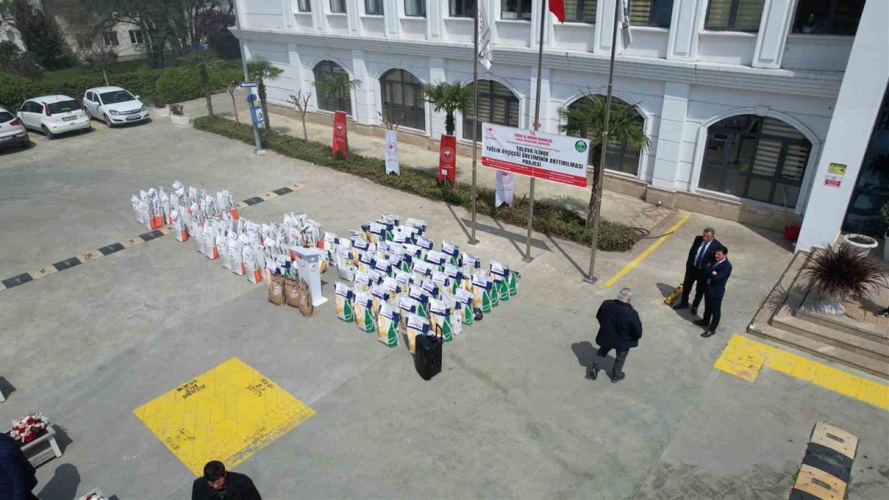 Yalova’da çiftçilere ayçiçeği tohumu dağıtıldı