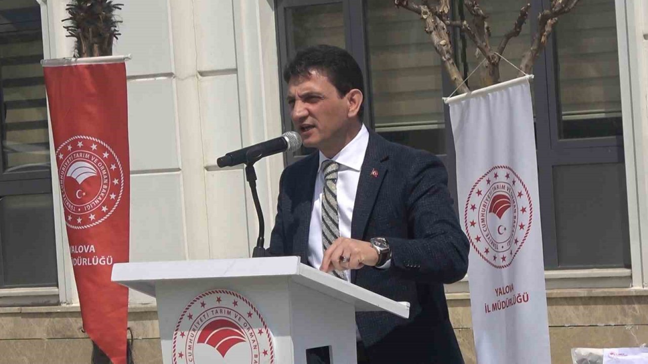 Yalova’da çiftçilere ayçiçeği tohumu dağıtıldı