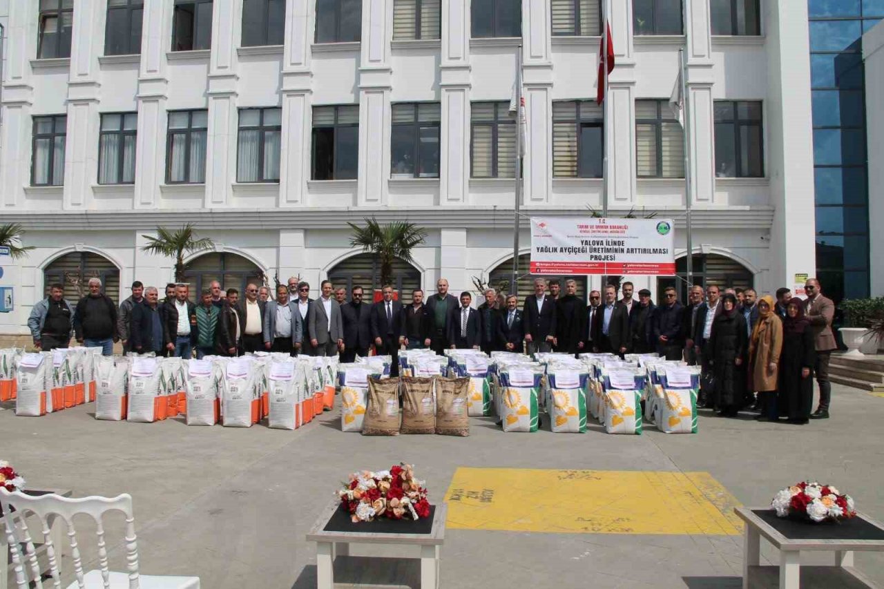 Yalova’da çiftçilere ayçiçeği tohumu dağıtıldı