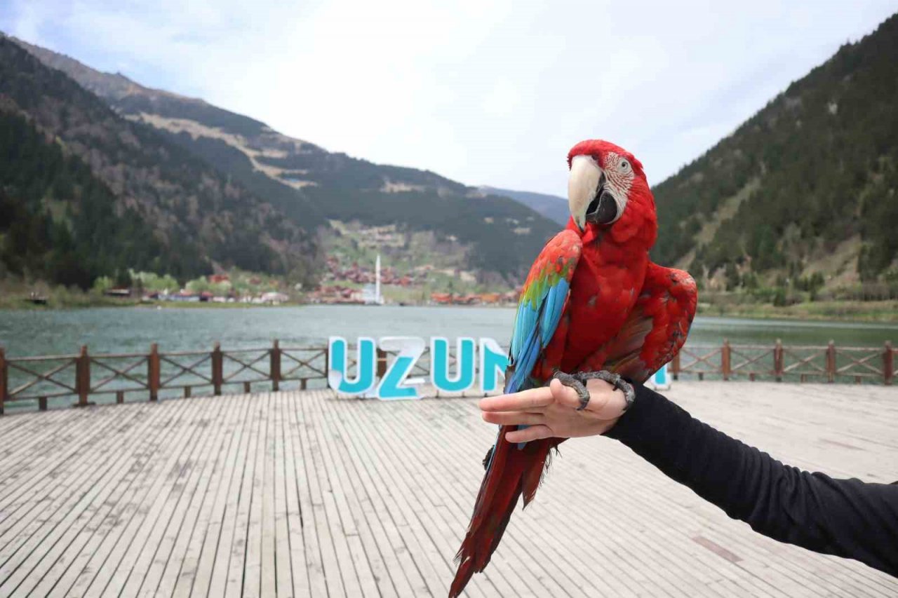 Uzungöl Ramazan Bayramı tatiline hazır