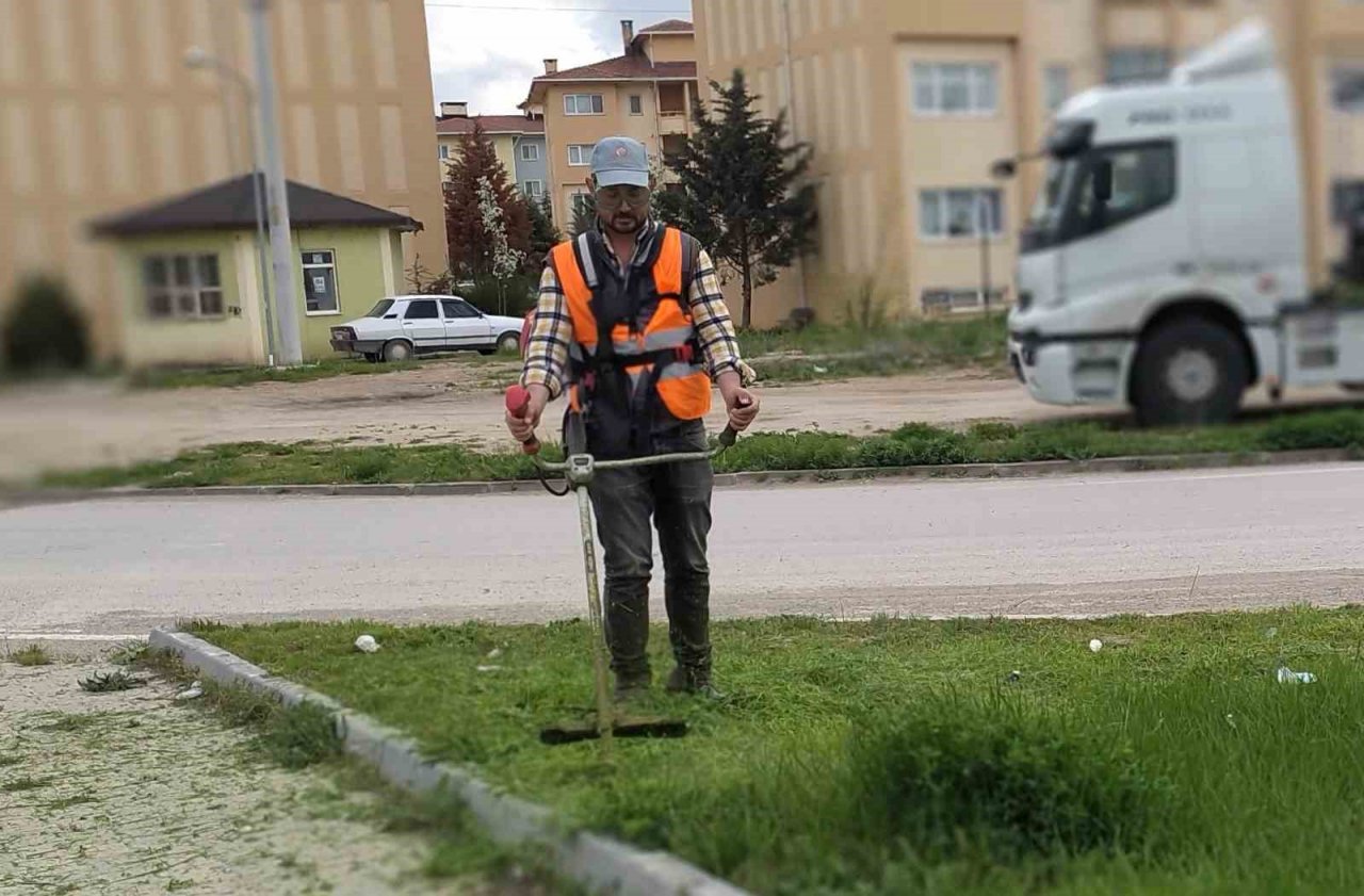 Karayolları çevresinde yabani ot temizliği