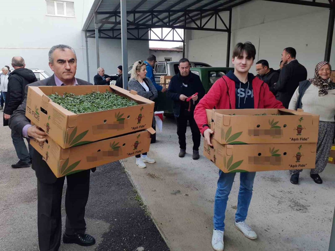 Sinop’ta 530 seracıya 61 bin sebze fidesi dağıtıldı