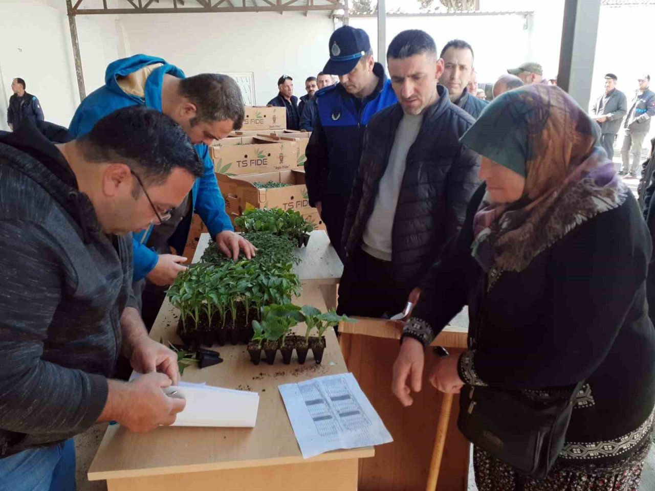 Sinop’ta 530 seracıya 61 bin sebze fidesi dağıtıldı