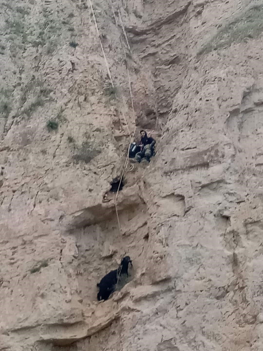 Keçinin mahsur kaldığı yer pes dedirtti