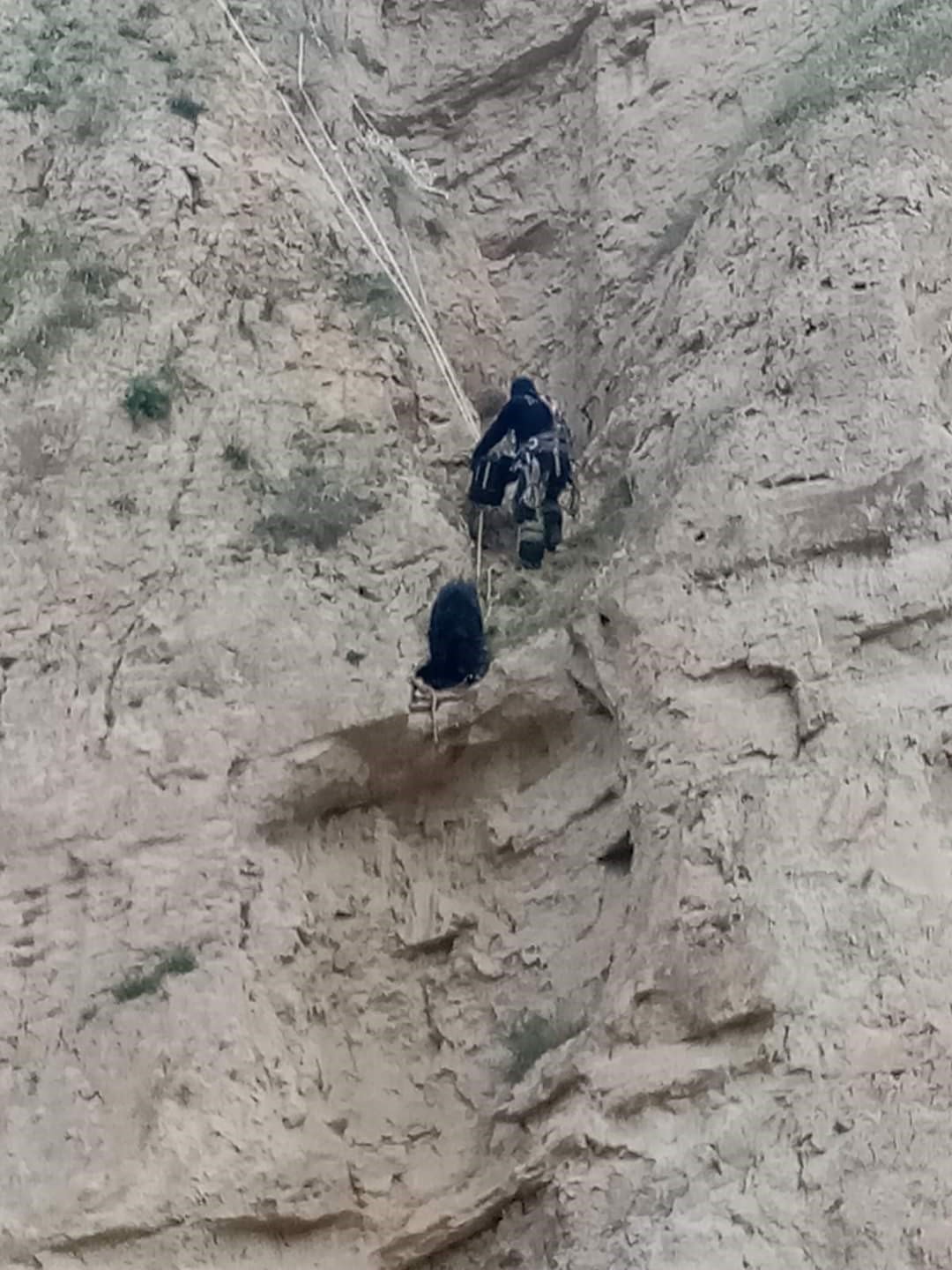 Keçinin mahsur kaldığı yer pes dedirtti