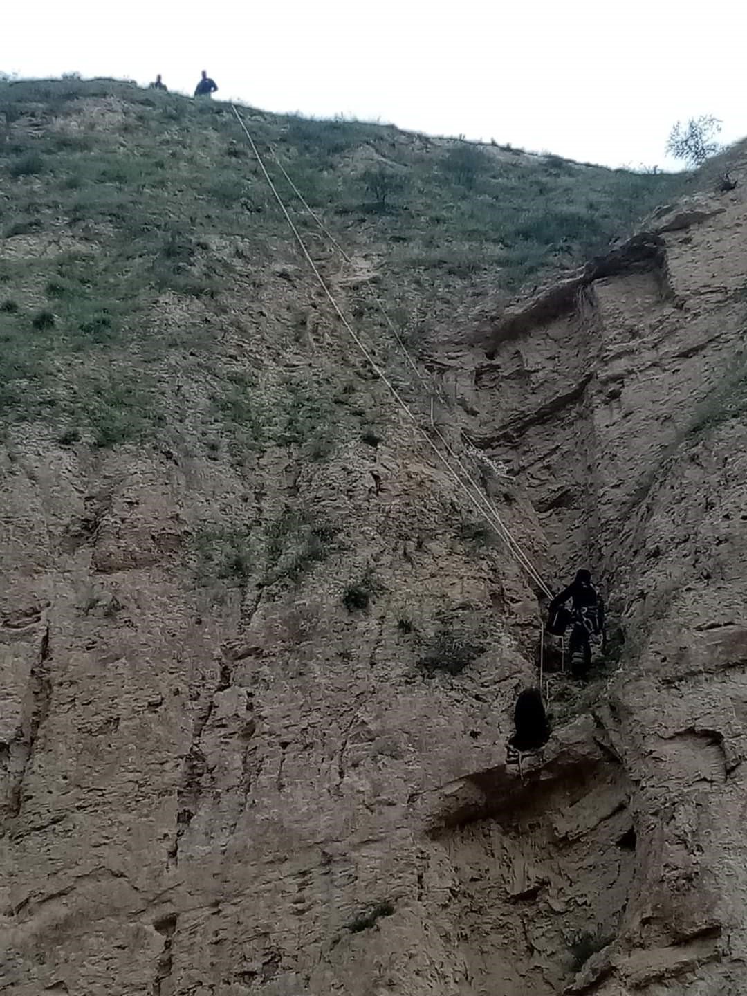 Keçinin mahsur kaldığı yer pes dedirtti