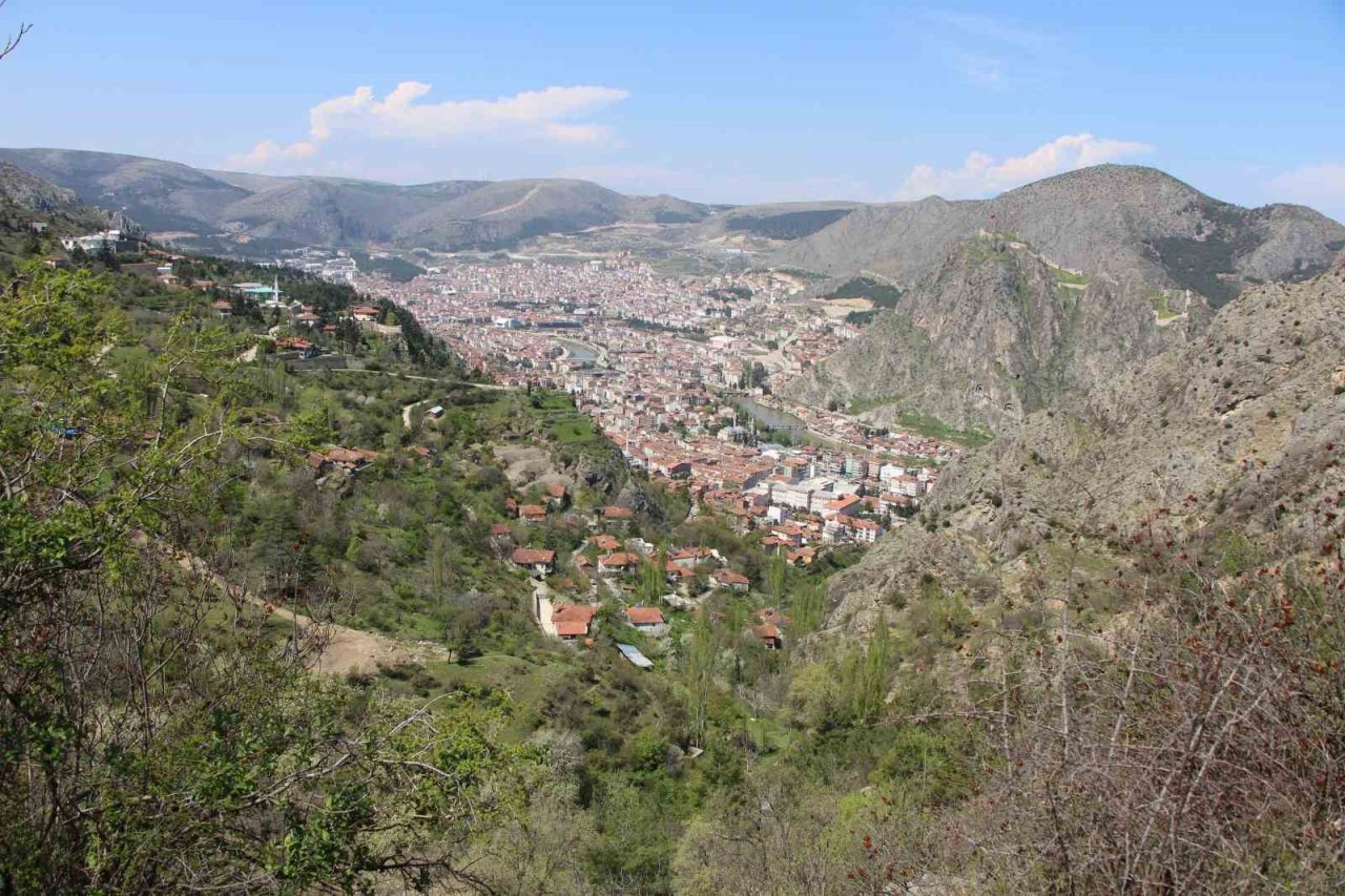 Amasyalılar ‘Yitik lale’yi arıyor, en son 1896 yılında görüldü