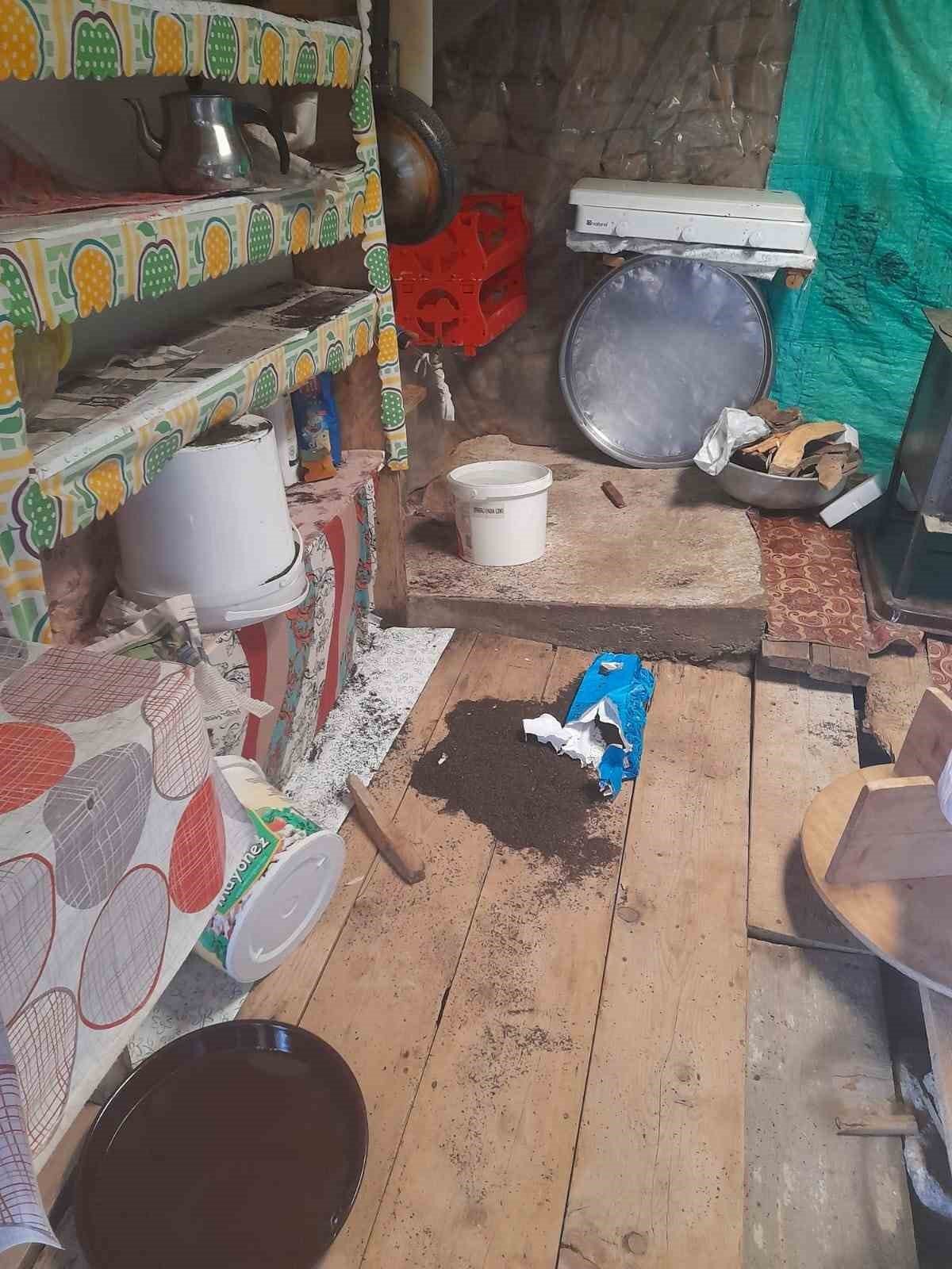 Gümüşhane’de ayılar yayla evlerine dadandı