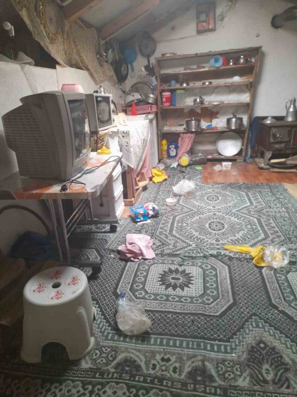 Gümüşhane’de ayılar yayla evlerine dadandı