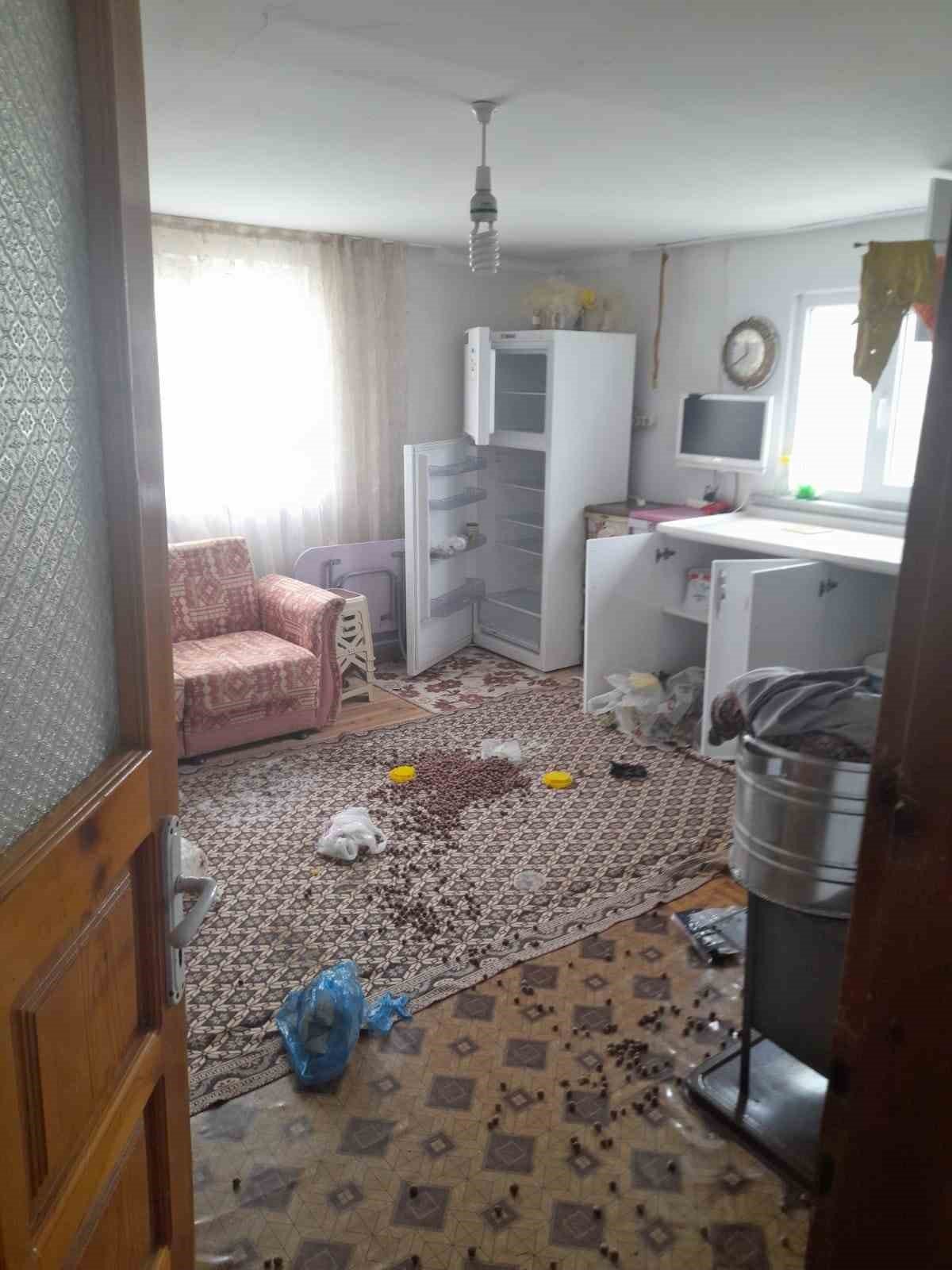 Gümüşhane’de ayılar yayla evlerine dadandı