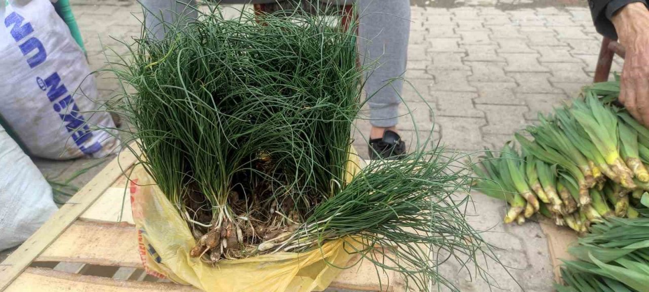 Yüksek dağlarda yetişen ve birçok hastalığa iyi geldiği belirtilen "zuzubak" otu yok satılıyor