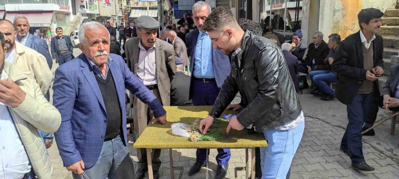 Yüksek dağlarda yetişen ve birçok hastalığa iyi geldiği belirtilen "zuzubak" otu yok satılıyor