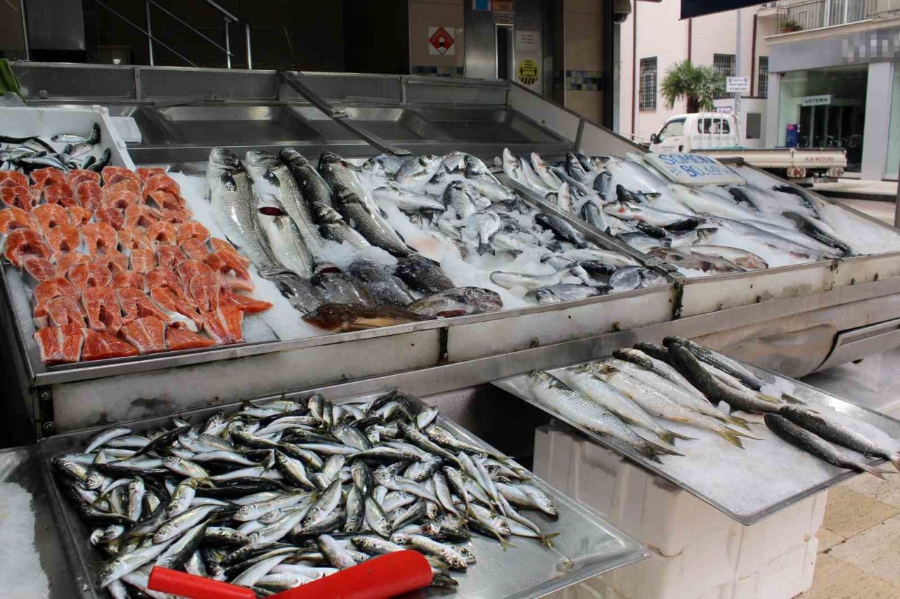 Balık tezgahlarını havuz balıkları süslüyor