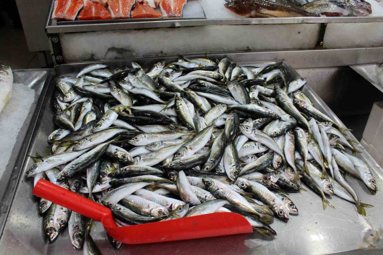 Balık tezgahlarını havuz balıkları süslüyor