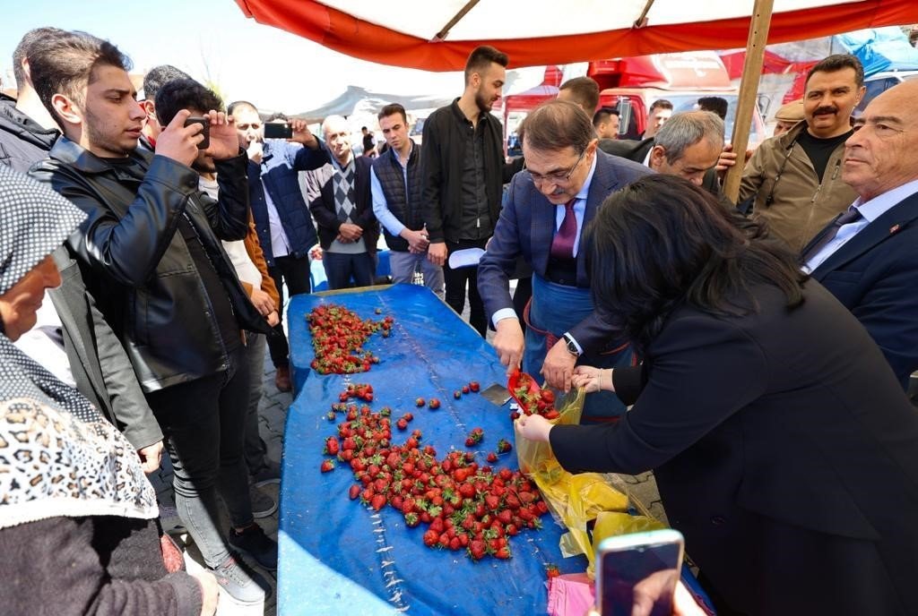 Bakan Dönmez pazarcı önlüğünü giydi, çilek tezgâhının başına geçti