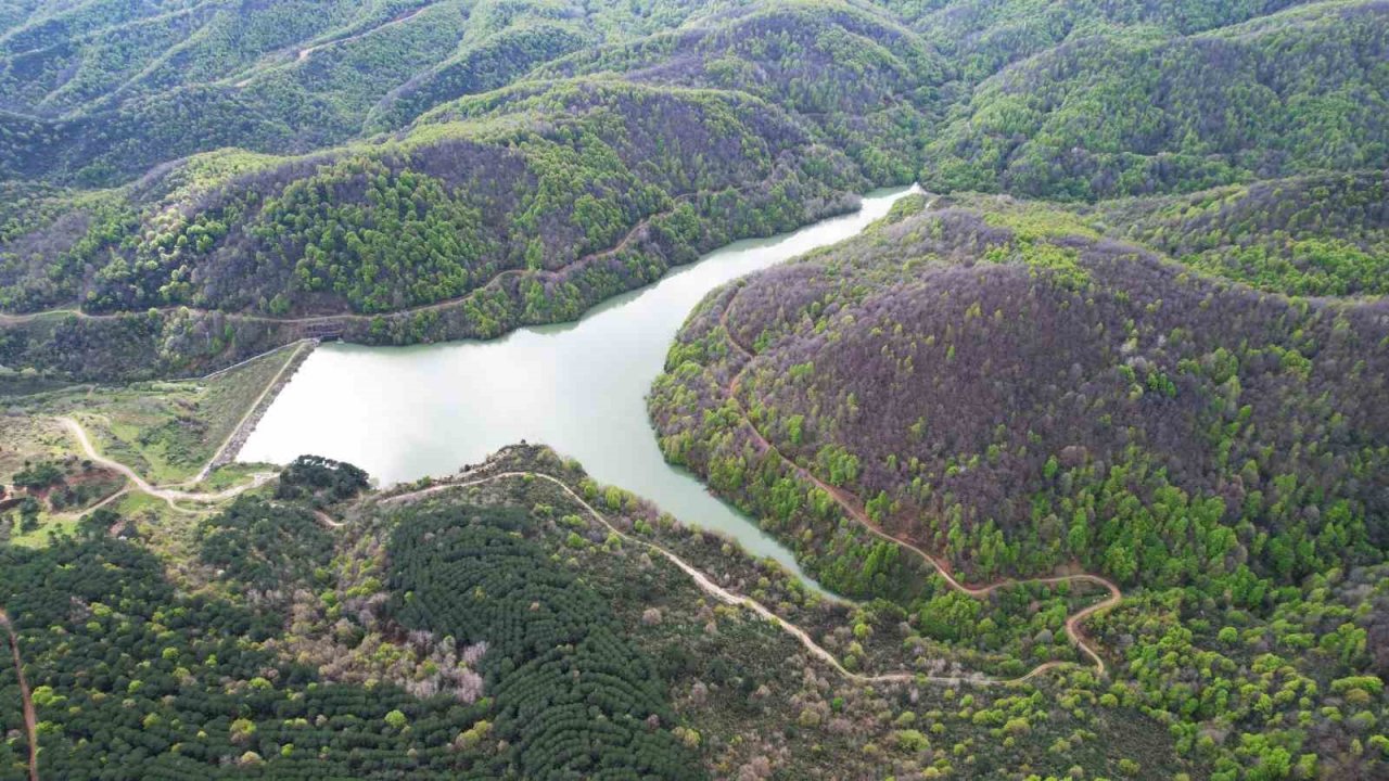 Ortaburun Tabiat Parkı baharla birlikte rengarenk oldu