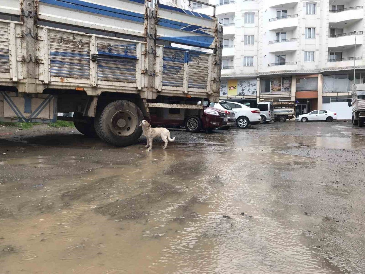 Iğdır’da vatandaşlar yağmura hazırlıksız yakalandı