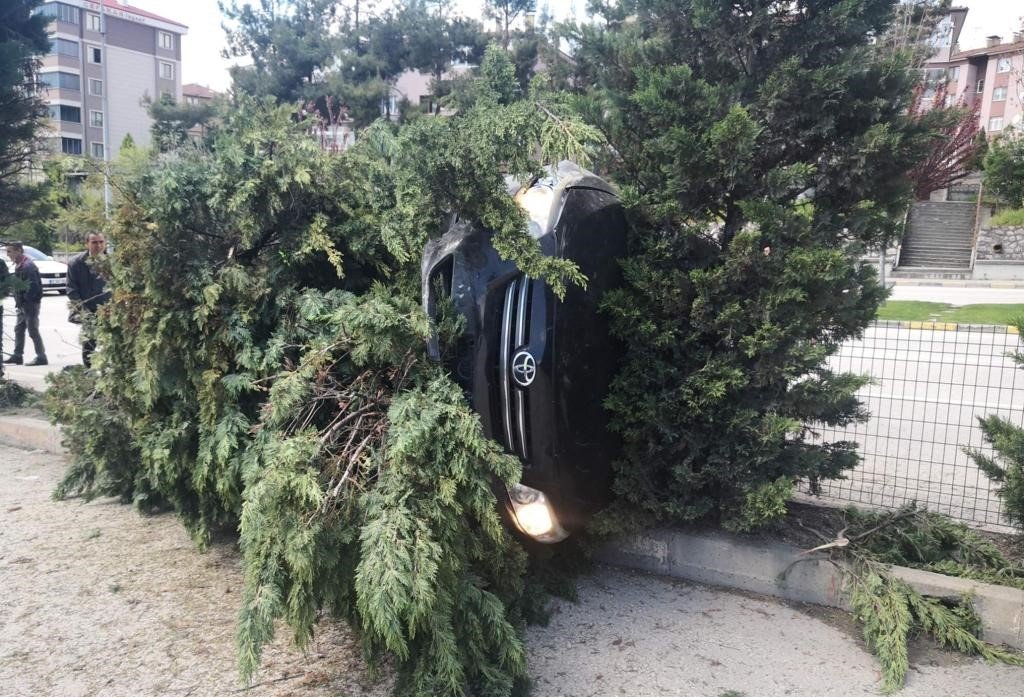 Refüjdeki ağaca çarpan otomobil devrildi: 2 yaralı