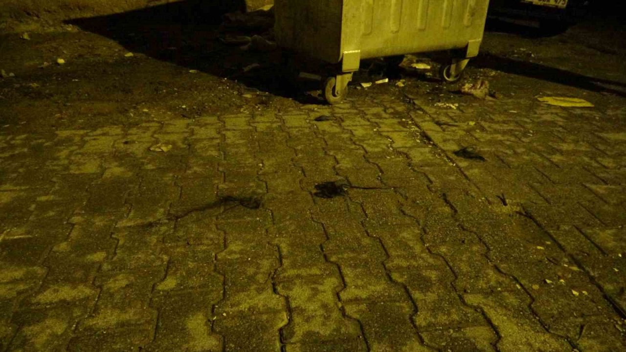 Kadınların saç baş yolduran kavgasında bıçaklanan polis memuru yaralandı