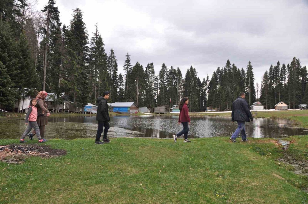 Bolu’nun doğa harikası yaylası ziyaretçilerini ağırlıyor