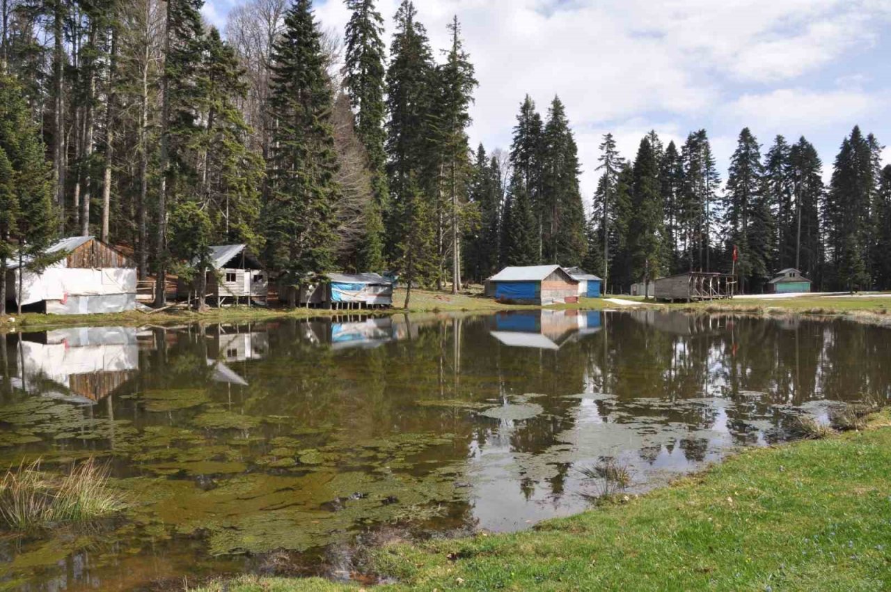 Bolu’nun doğa harikası yaylası ziyaretçilerini ağırlıyor