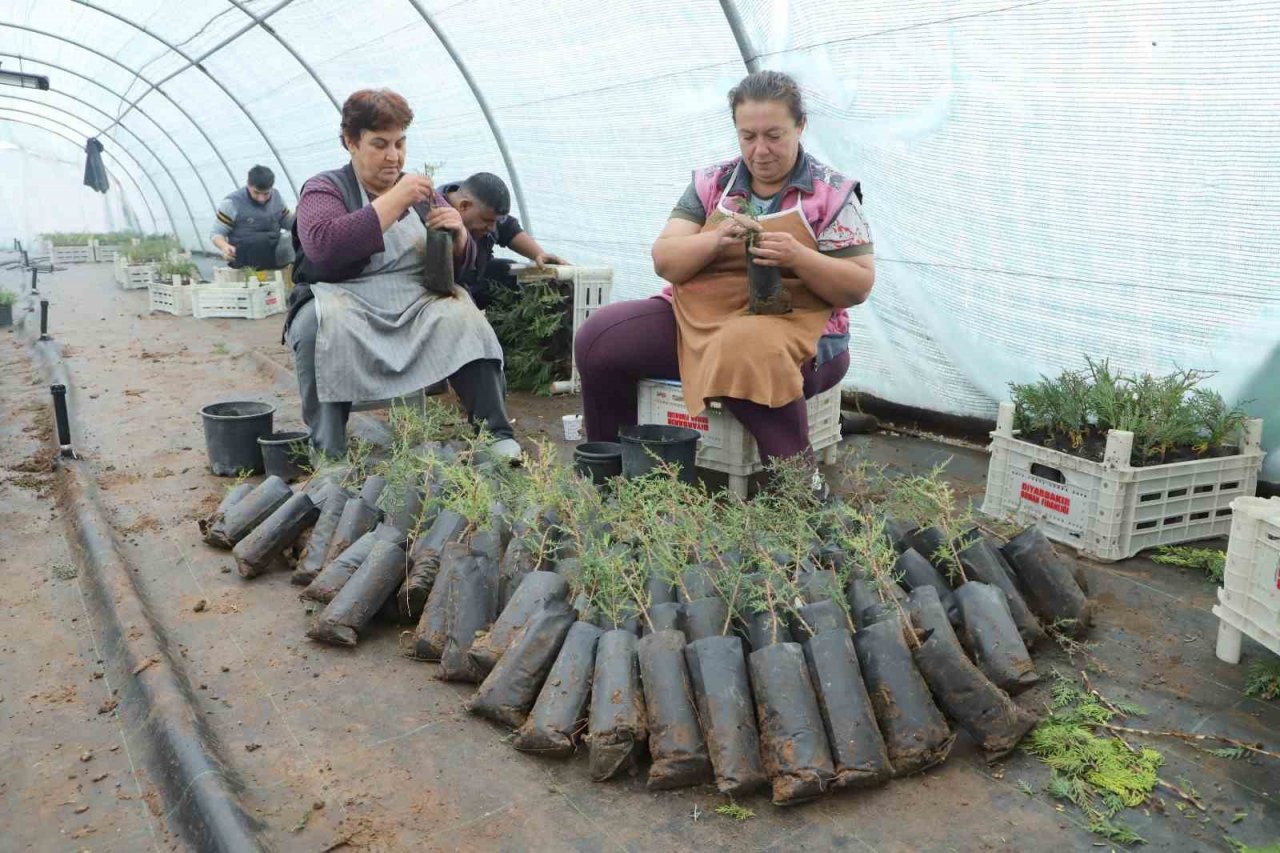 Diyarbakır’da belediye personeline fidan aşılama eğitimi