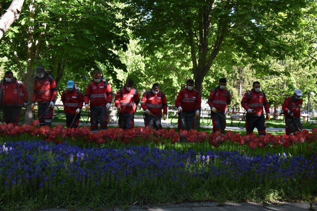 Kocasinan’da yılın 12 ayında çevreci ve bilimsel yöntemlerle haşere mücadelesi