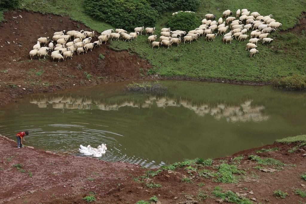 Ordu’da susuz mahalle sayısı hızla azalıyor