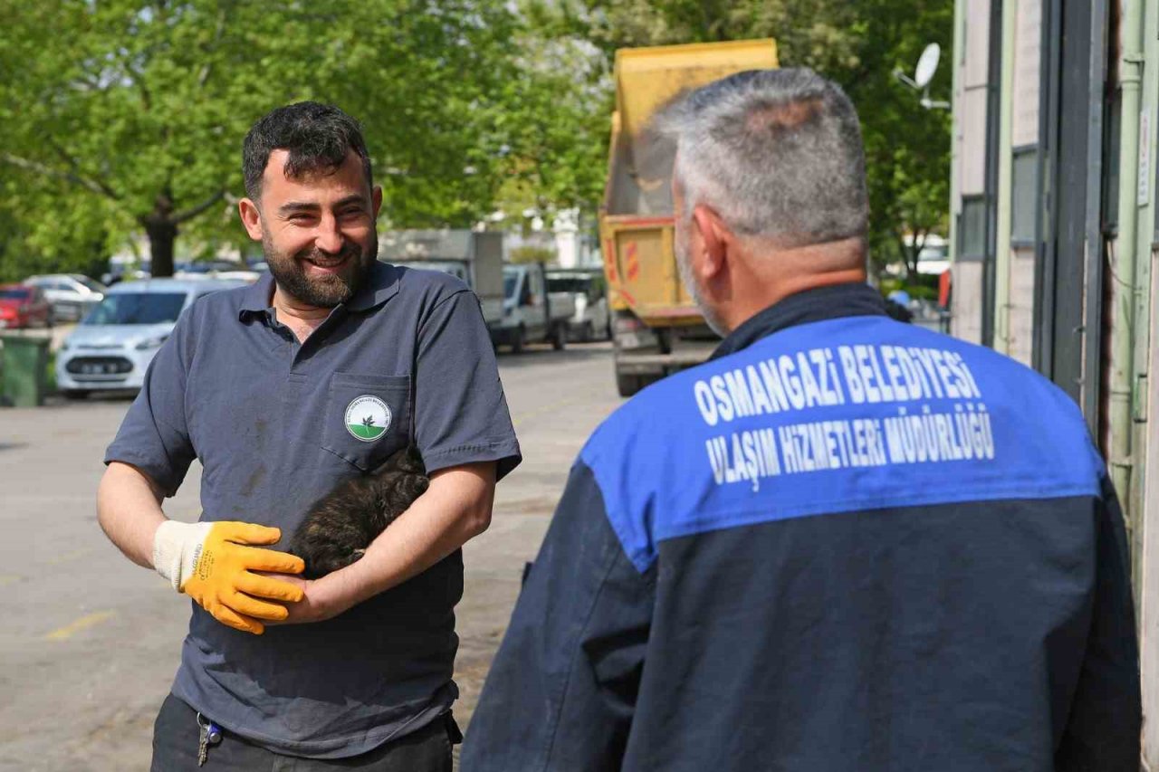 Motora sıkışan kedi için seferberlik