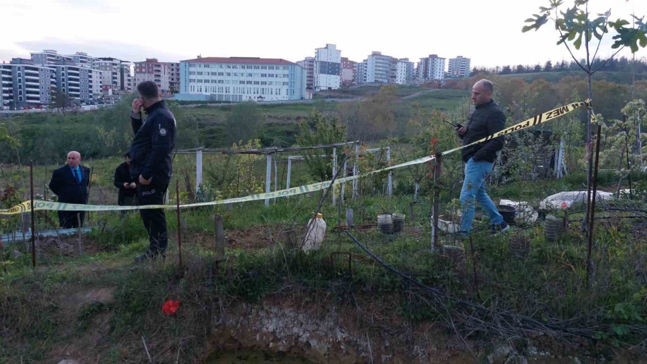 Bahçede çalışırken hayatını kaybetti