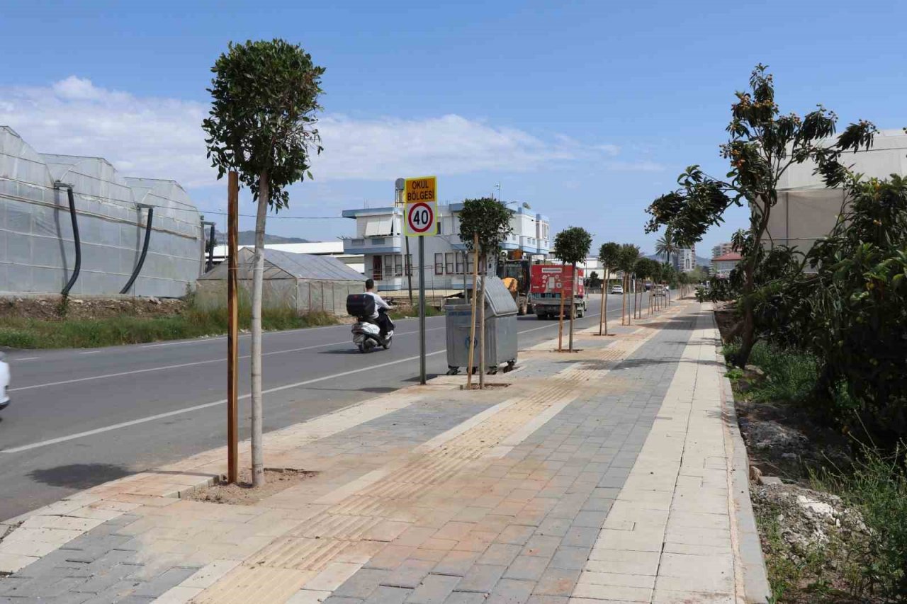 Alanya Belediyesinin sezon öncesi peyzaj çalışmaları