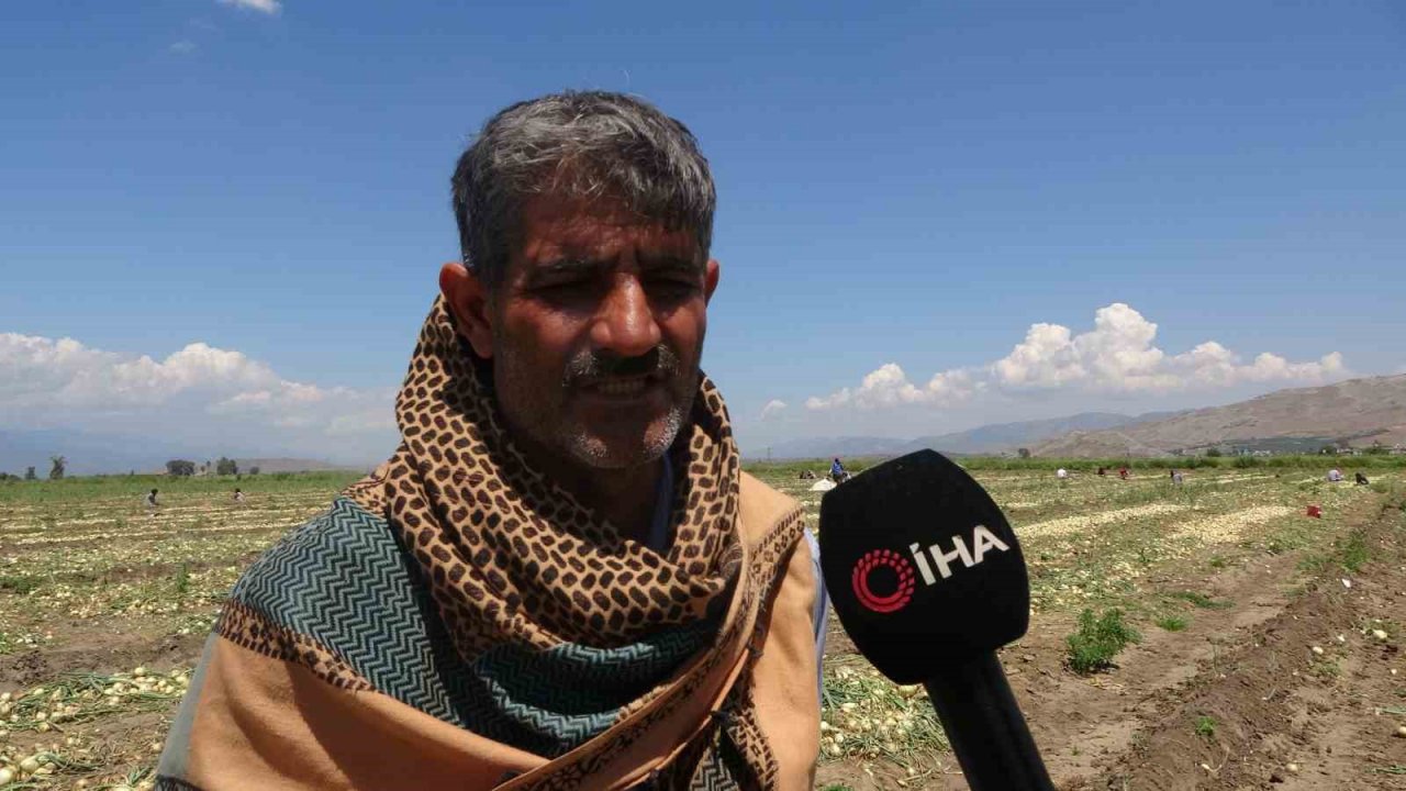 Soğan tarlada 9-10 lira seviyesine düştü