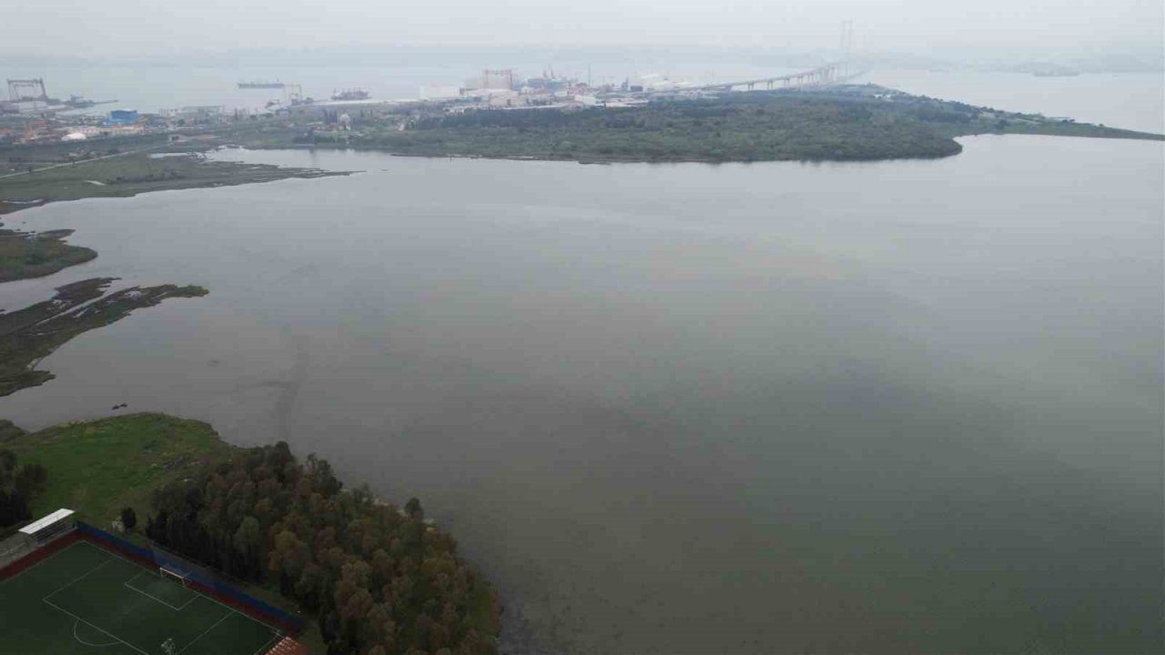 “Kuş Oteli” Hersek Lagünü’nde tür sayısı şah kartalıyla 253’e çıktı