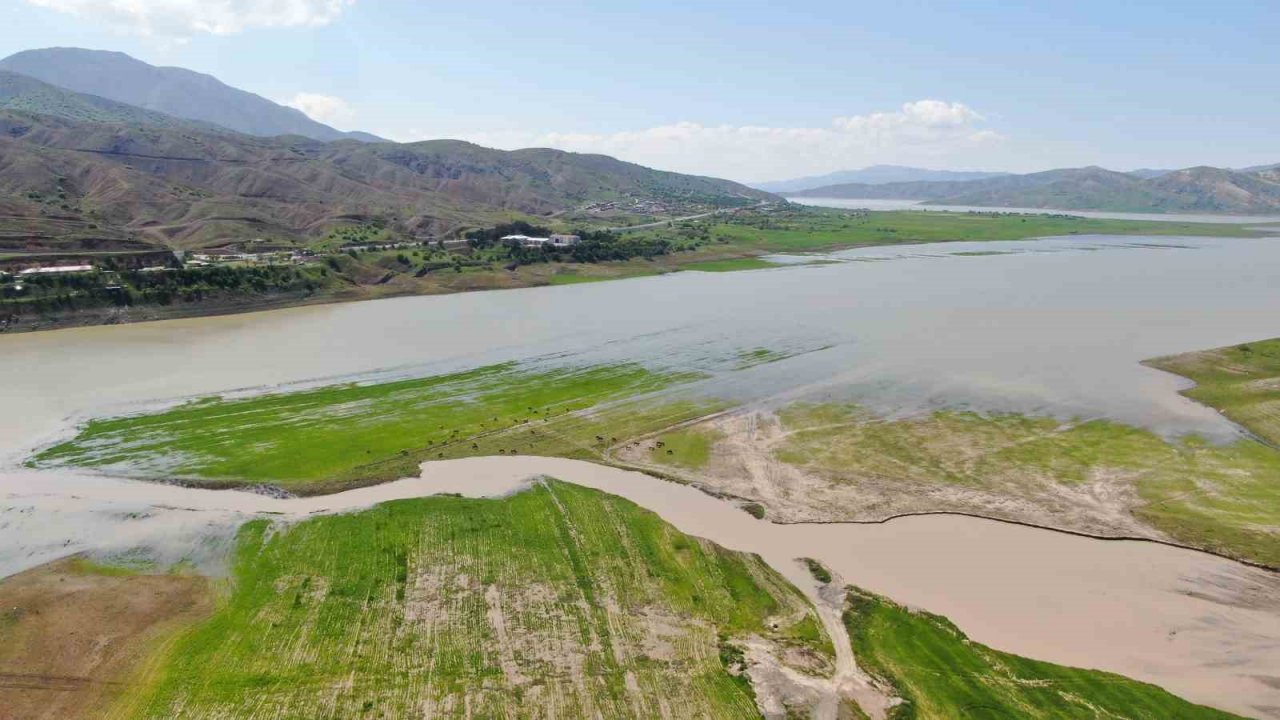 Risk alıp baraj sahasına ekim yapmışlardı: Emekleri sular altında kaldı