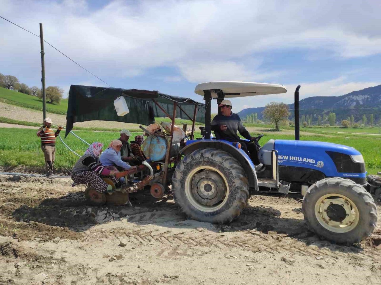 Selendi’de tütün dikimi başladı