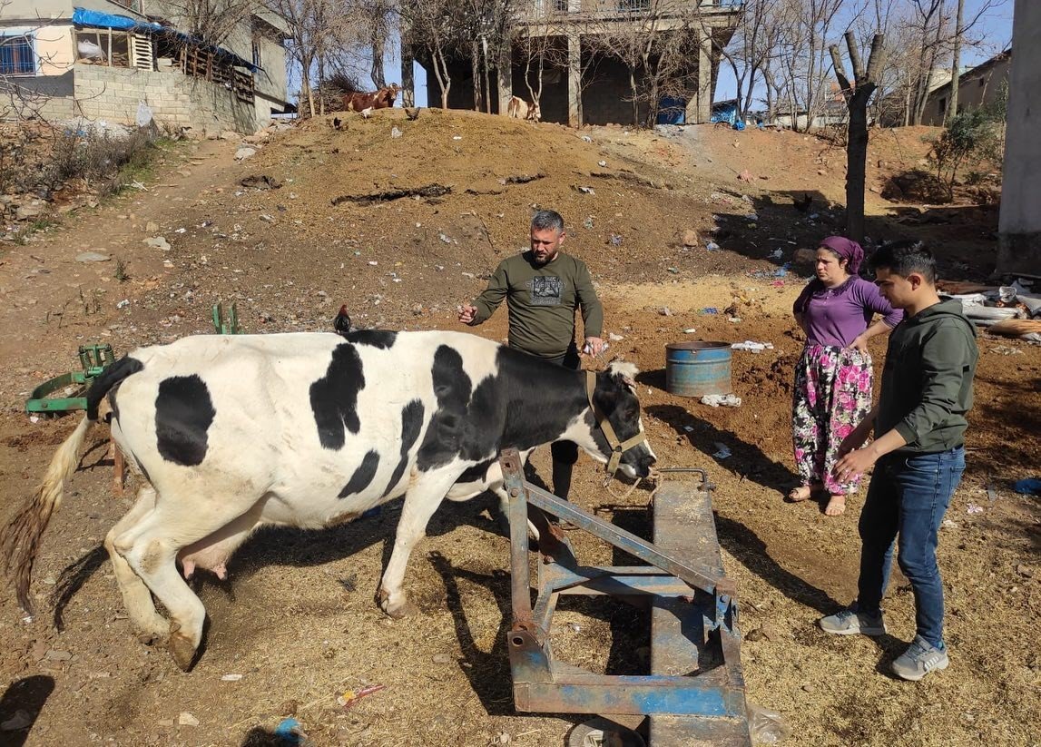 Muğla Tarım ve Orman Müdürlüğü Şap Aşısı hakkında açıklama yaptı