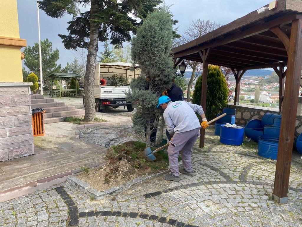 Orta refüjlerdeki bitkiler yeşil alanlara dikiliyor