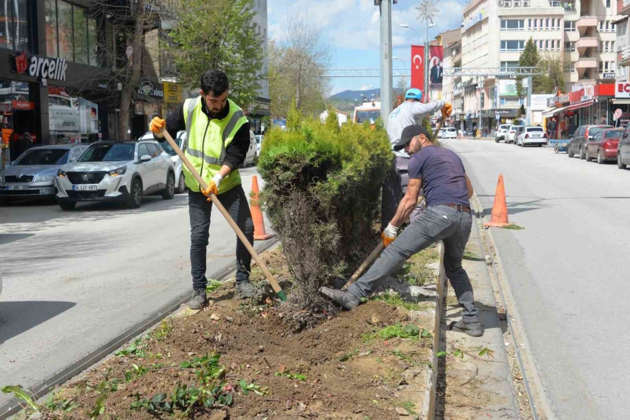 Orta refüjlerdeki bitkiler yeşil alanlara dikiliyor