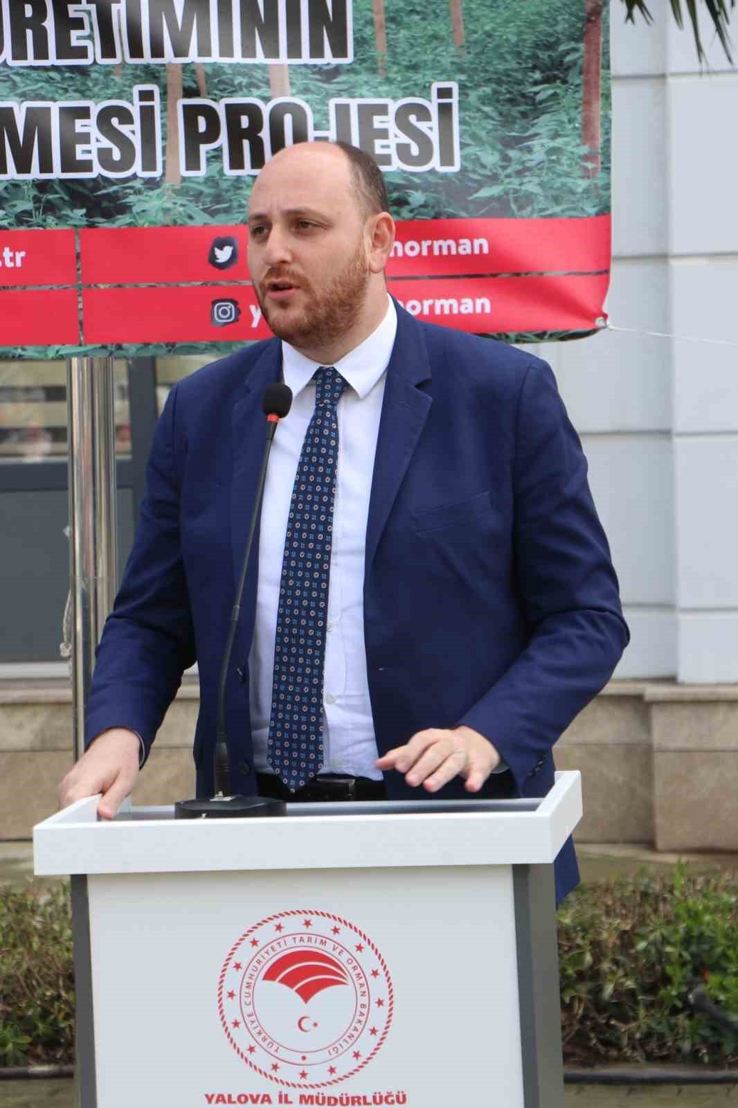 Yalova’da çiftçilere 252 bin adet sebze fidesi dağıttı