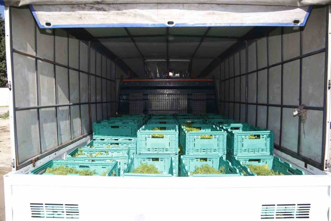 Adana’da kadın kooperatifi üreticiyi destekliyor