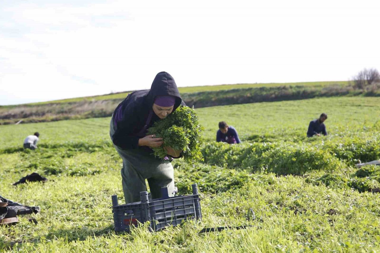 Adana’da kadın kooperatifi üreticiyi destekliyor
