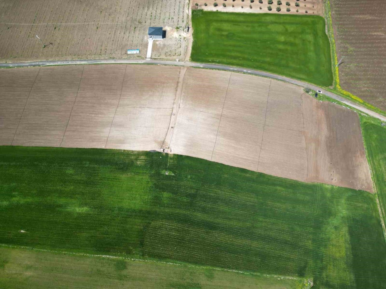 Kilisin en küçük ilçesi Polateli’nde domates fidesi toprakla buluştu