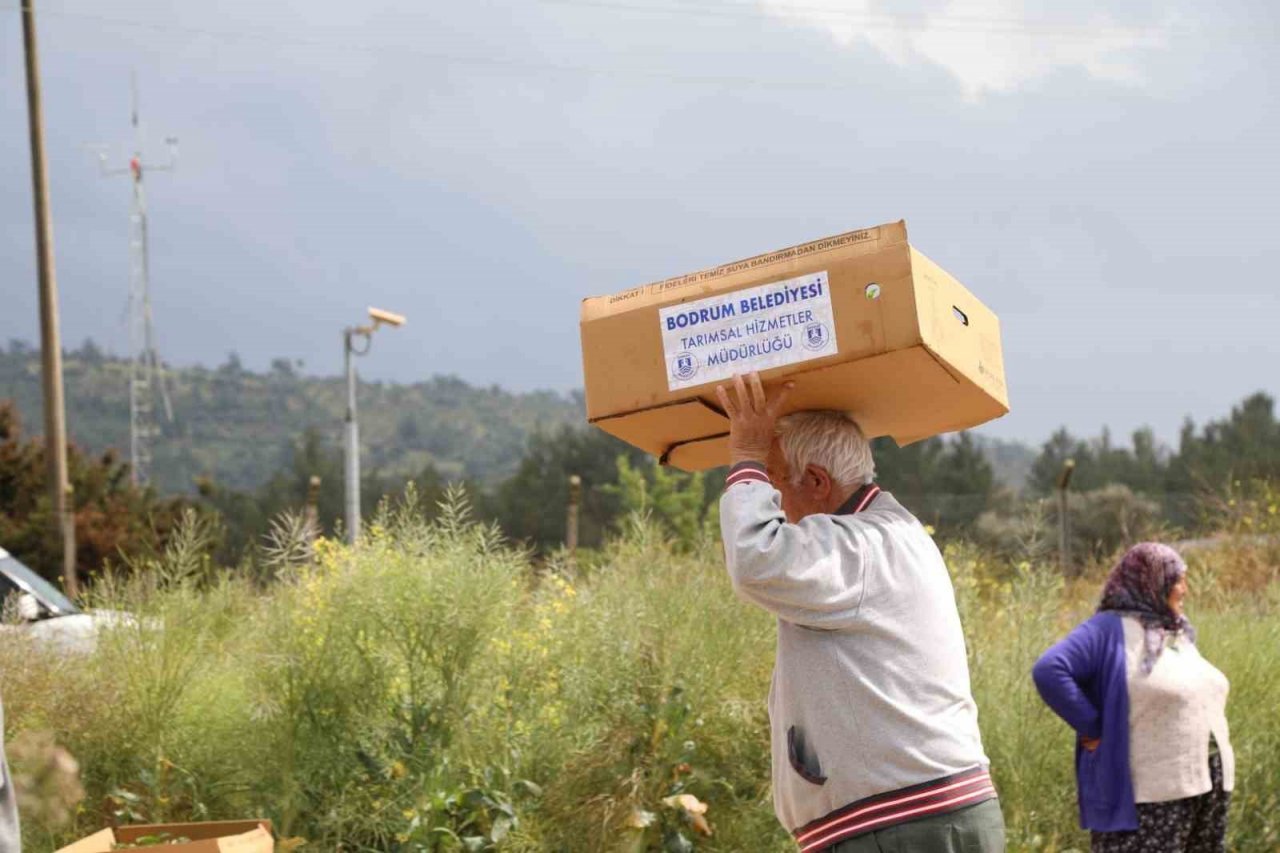 Bodrum’da 350 bin fide dağıtıldı