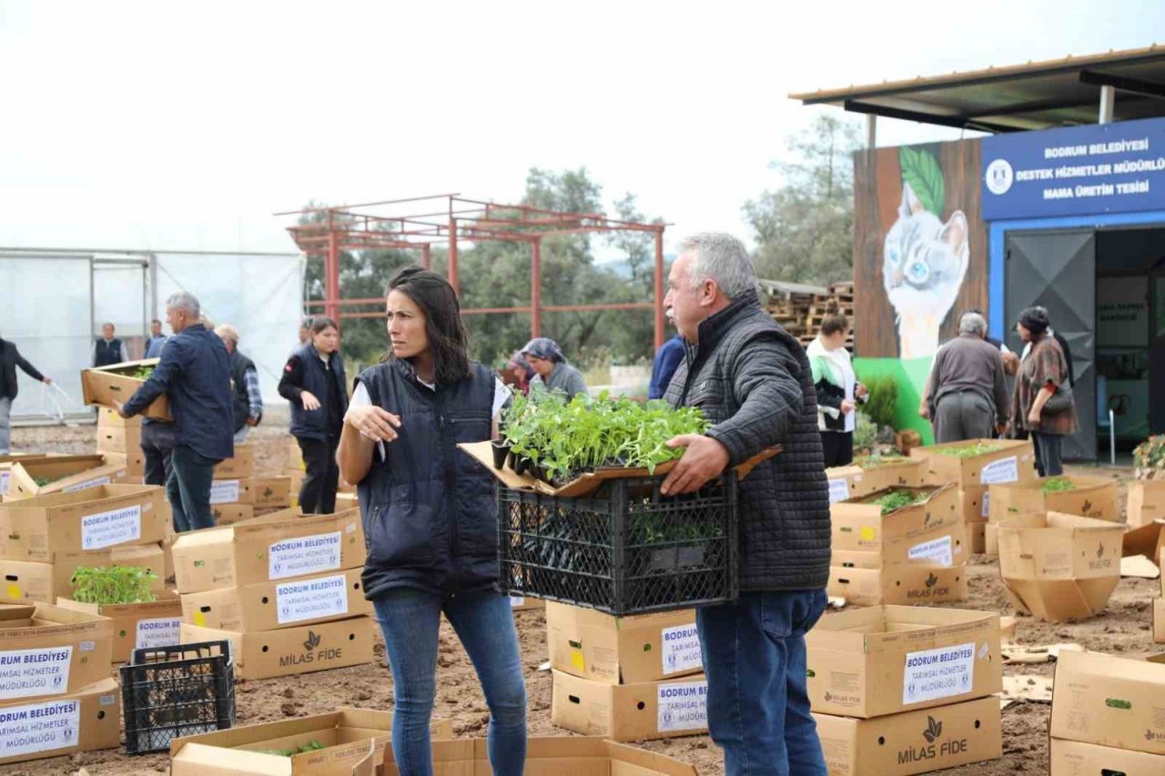 Bodrum’da 350 bin fide dağıtıldı